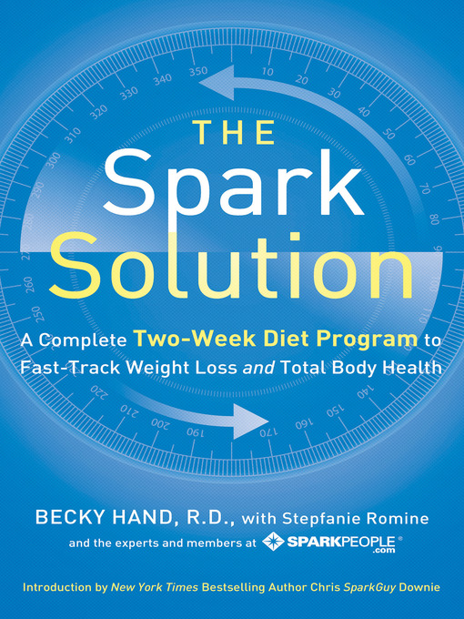 Title details for The Spark Solution by Becky Hand - Wait list